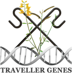 Traveller Genes Under a logo of DNA, with crops and handles emerging