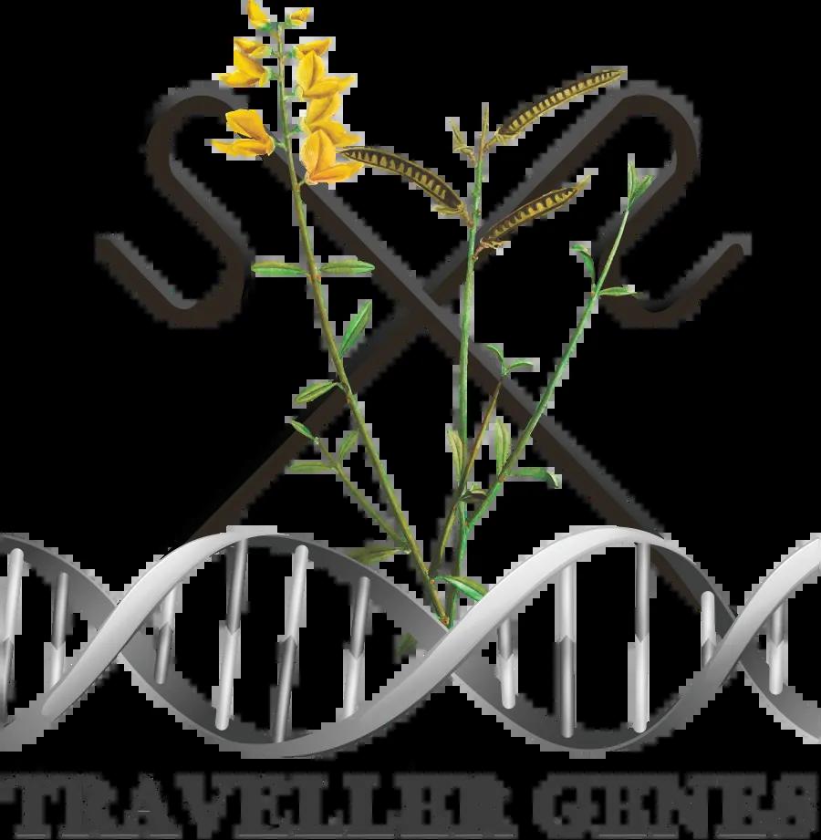 Traveller Genes Under a logo of DNA, with crops and handles emerging